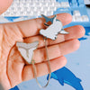 Sharks & Teeth! Collar Pin Set